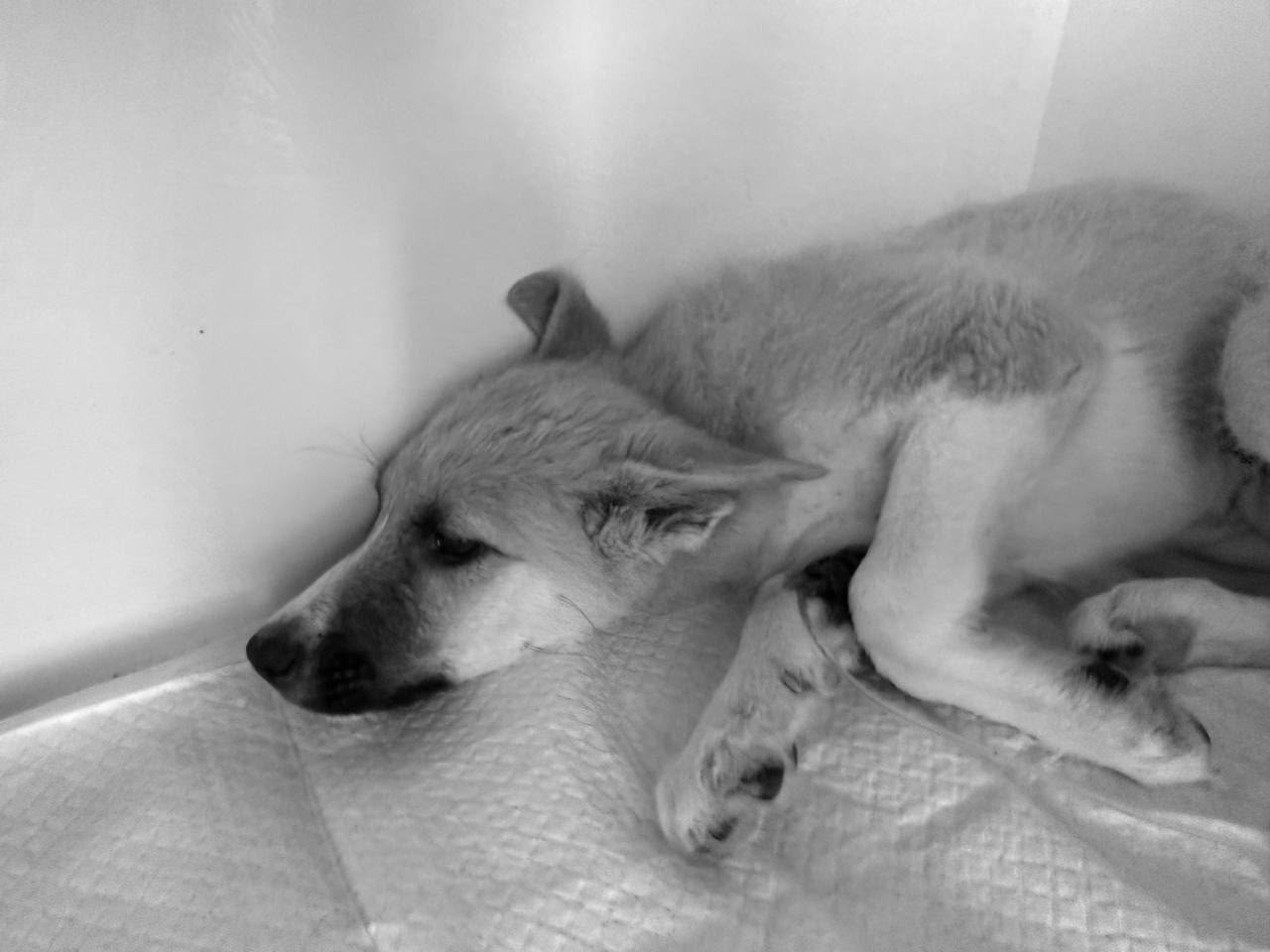 Runa (8).jpeg